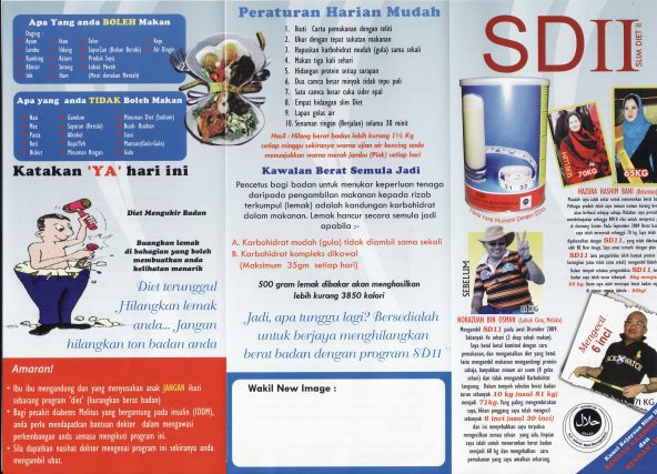 SDII Brochure
