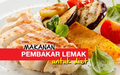 Cara Untuk Mendapat Berat Ideal Dengan Plan Diet Slim Diet 2