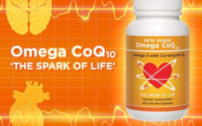 Apa Itu Omega CoQ10?